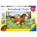 Ravensburger Puzzle 2x24 Teile Welt der Pferde