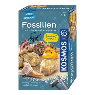 Mitbringexperimente Fossilien Ausgrabung