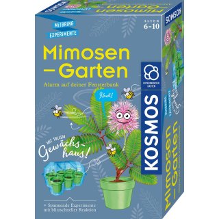 Mitbringexperiment Mimosen Garten